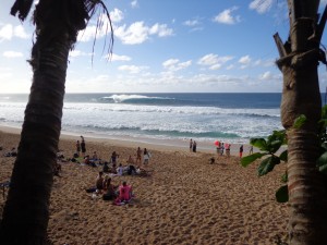 surf Hawaï