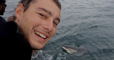 Afrique du Sud Mossel bay surf trip requin