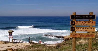 Portugal surf Ericeira pedra branca