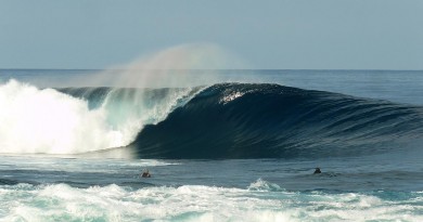SUMATRA HONEY SMACK BARREL SURF