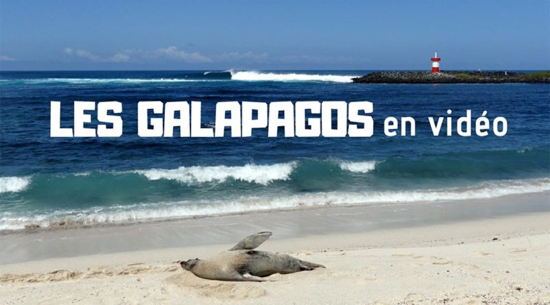 Galapagos surf trip