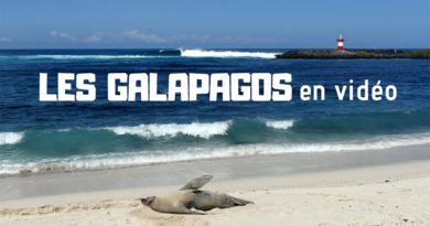 Galapagos surf trip